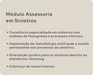 modulos de assessoria em gestao de sinistro